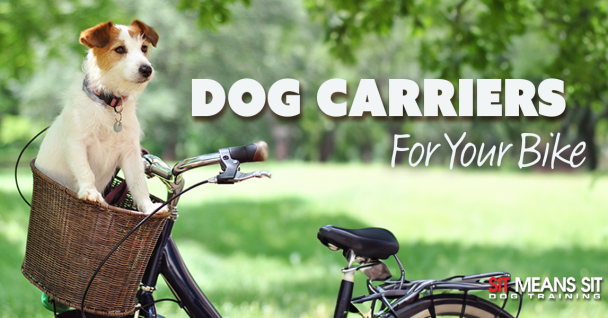 Check Out These Dog Carriers For Your Bike