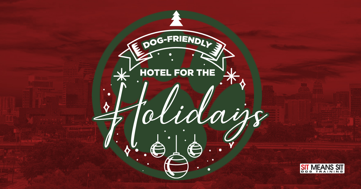 Reasons to Consider a Dog-Friendly Hotel for the Holidays