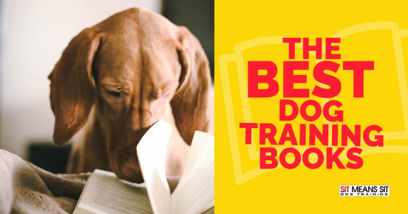 Best Dog Training Books for Every of Dog