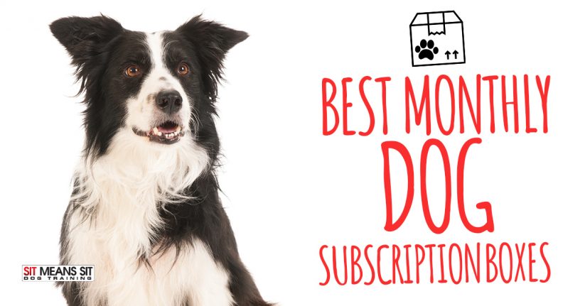 Best Monthly Dog Subscription Boxes 2020