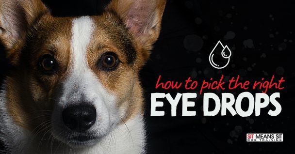 How To Pick The Right Eye Drops
