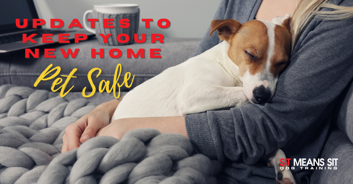 Updates to Keep Your New Home Pet Safe