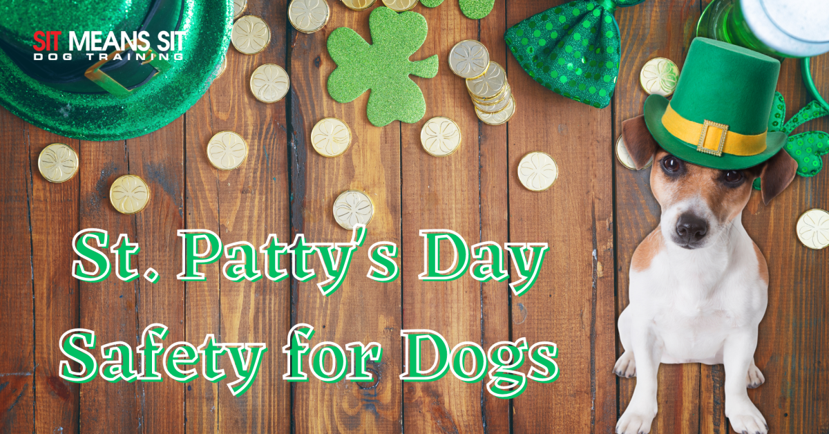 A dog wearing a St. Patrick's hat with the text "St. Patty's day safety for dogs"