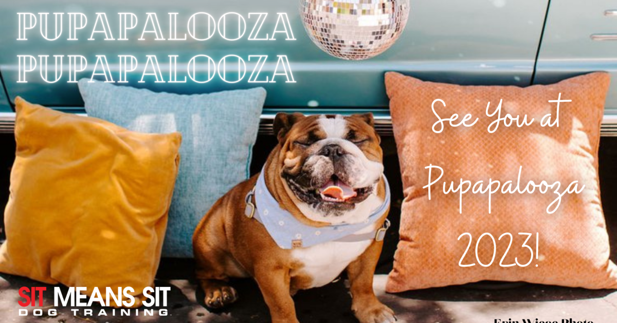 A dog sitting on the ground with the text "Pupapalooza 2023 see you there"
