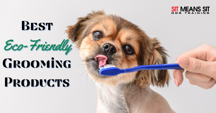 The Best Eco-Friendly Dog Grooming Products