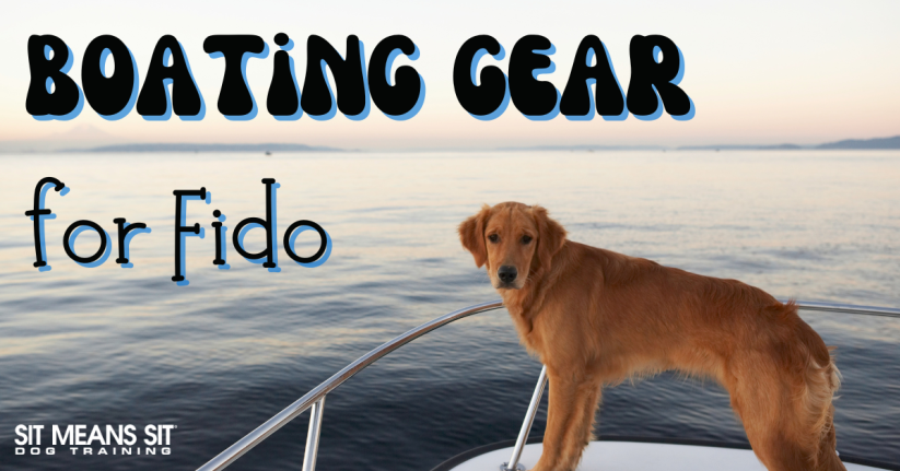 The Best Boat Accessories for Dogs