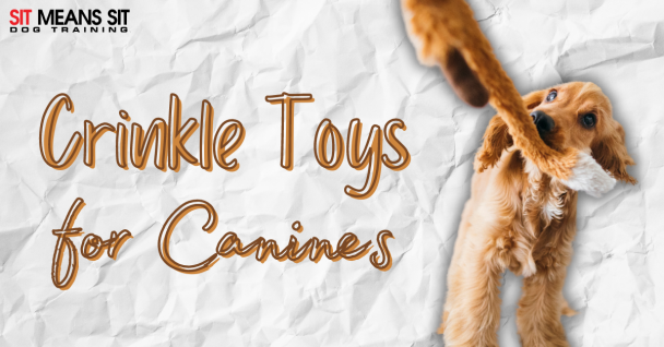 The Best Crinkle Toys for Canines