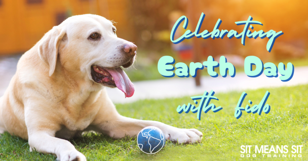 Pawsitive Impact: Celebrating Earth Day with Your Canine Companion