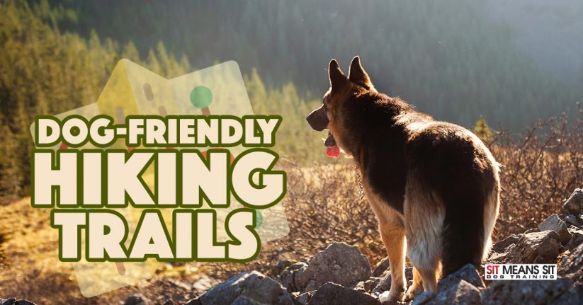 San Gabriel Dog-Friendly Hiking Trails