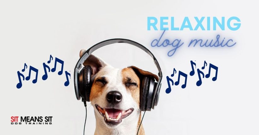Music to Help Relax Your Dog