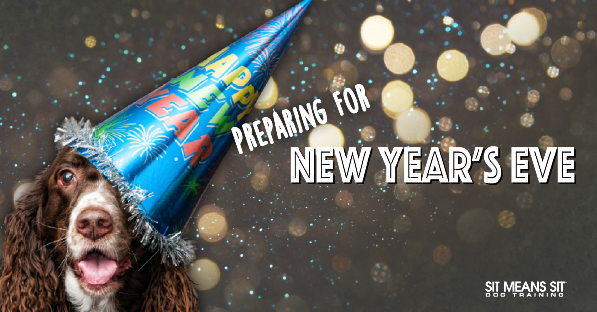Preparing your pup for a new years eve