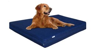 dogbed4less Memory Foam Bed
