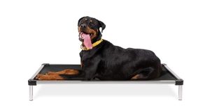 k9 Ballistics Elevated Dog Bed