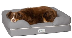 PetFusion Orthopedic Bed