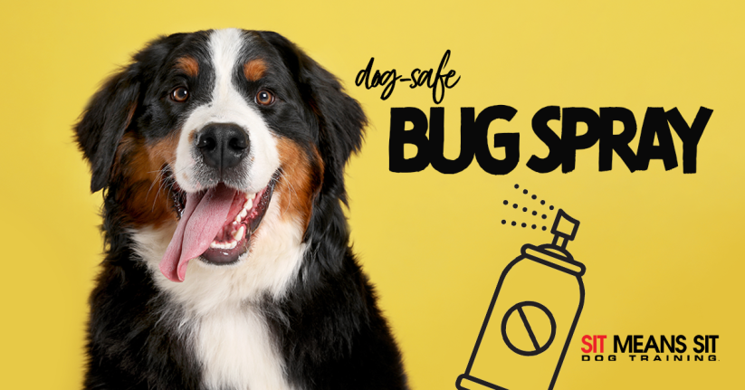 The Best Dog-Safe Bug Spray