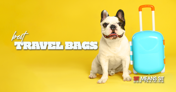 The Best Travel Bags For Dog Owners