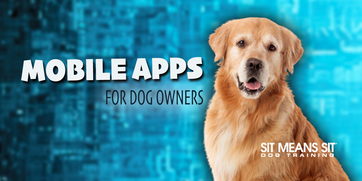 The Best Apps For Dog Owners