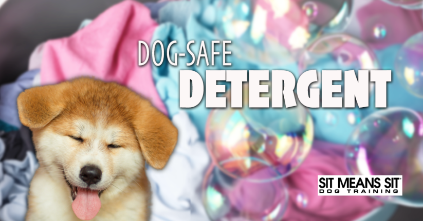Check Out These Dog-Safe Laundry Detergents