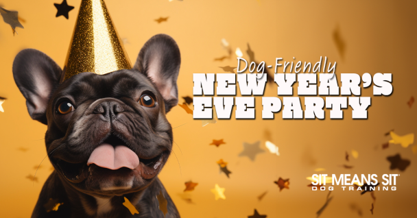 How To Plan A Dog-Friendly New Year's Eve Party