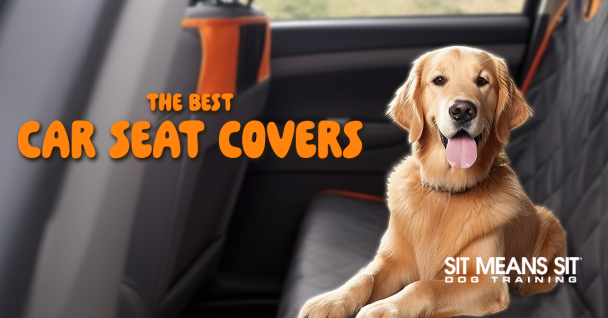 Protect Your Ride: Top Car Seat Covers for Dog Owners