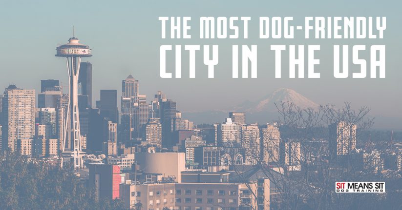 Seattle is The Most Dog Friendly City in the USA!