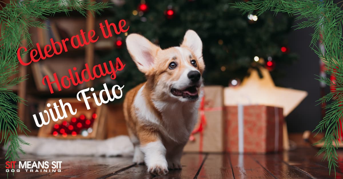 A cheerful corgi dog in front of a decorated Christmas tree, with festive text celebrating the holidays.
