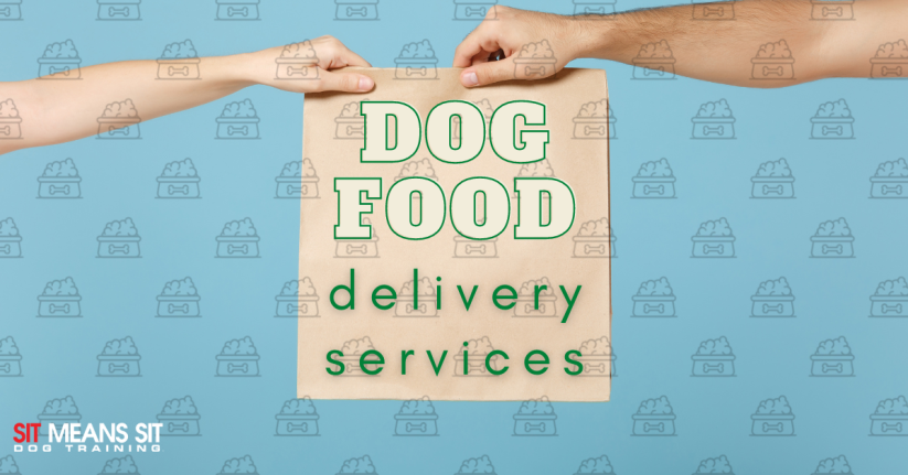 Two hands hold a sign reading "Dog Food Delivery Services" against a light blue background.