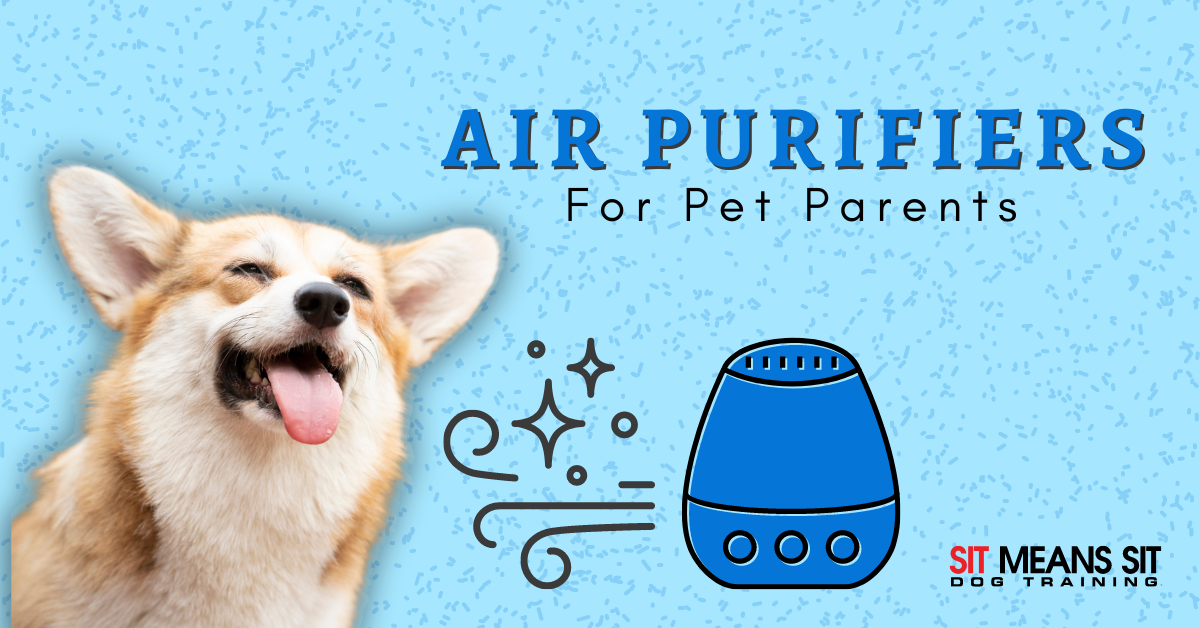 A happy dog next to an illustration of an air purifier, promoting air purifiers for pet owners.