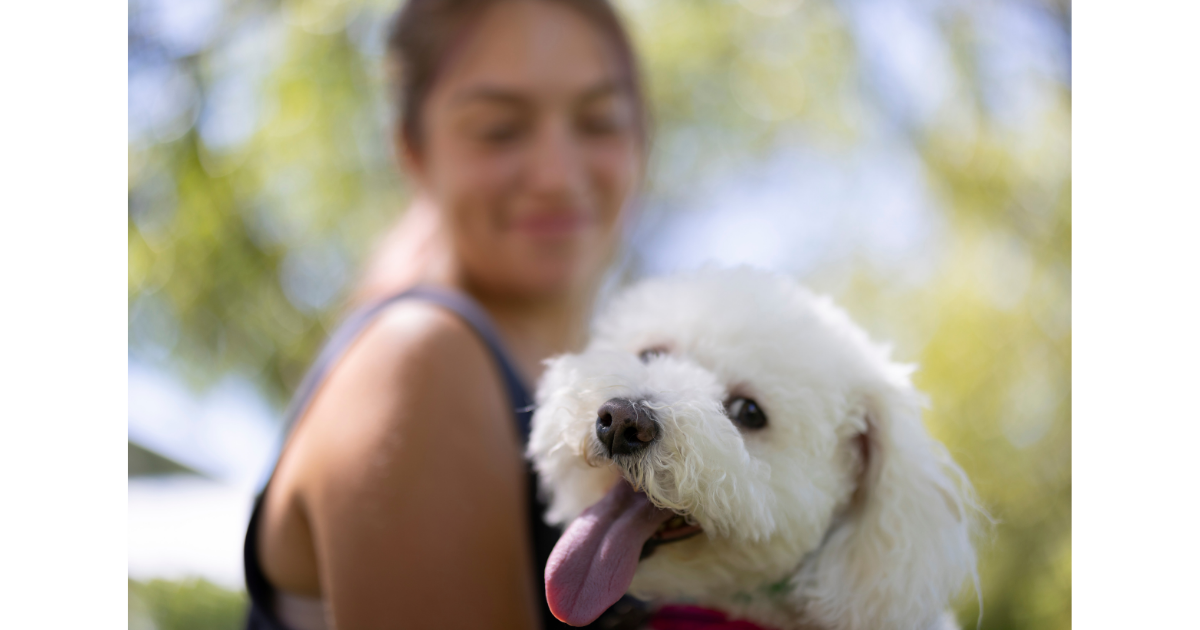 Why Do I Like Smelling My Dog? Sit Means Sit Volusia