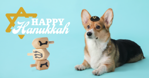 Dog-Safety Tips for Your Hanukkah Celebrations