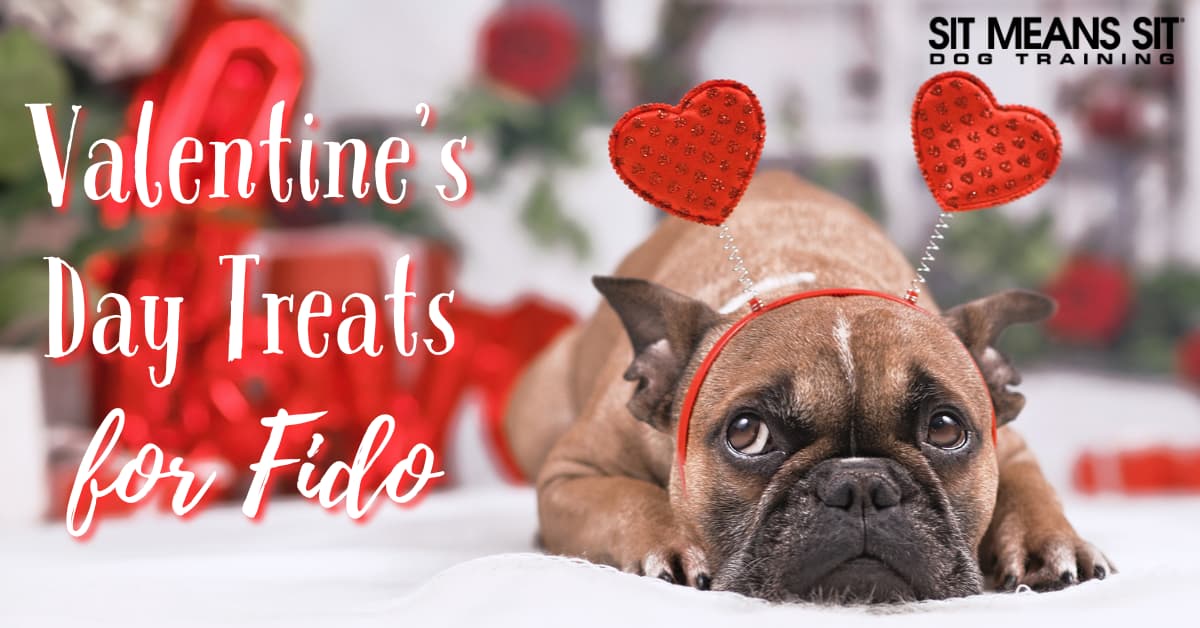 A cute dog wearing heart-shaped antennas with Valentine's Day decorations and text about treats for pets.