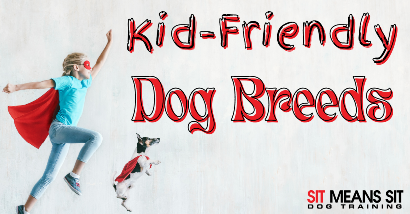 A child in a superhero cape plays with a small dog, labeled "Kid-Friendly Dog Breeds."