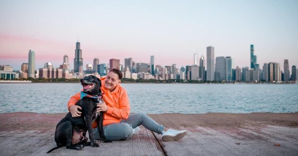 Chicago Dog Trainer