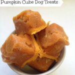 Pumpkin Cube Dog Treats: Sit Means Sit