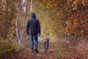 Happy Thanksgiving from Sit Means Sit South Denver Dog Trainers
