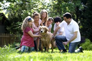 Dog Training Lakewood: Getting the Whole Family Involved