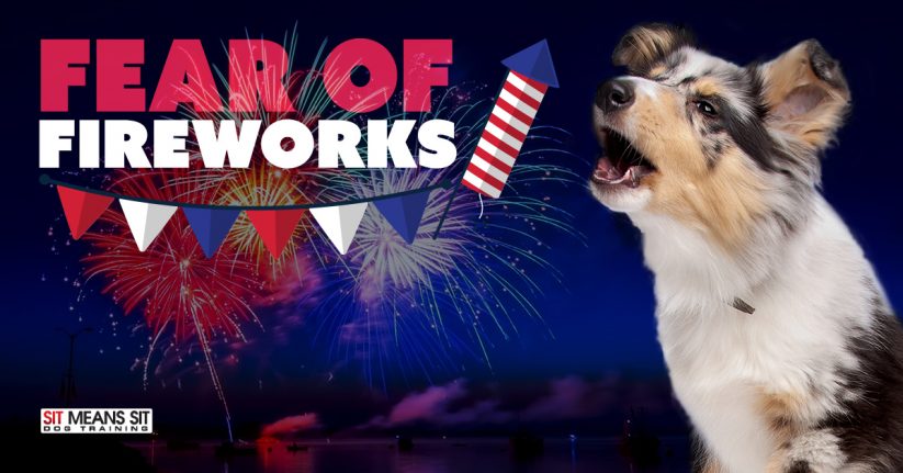 Helping Your Dog's Fear of Fireworks