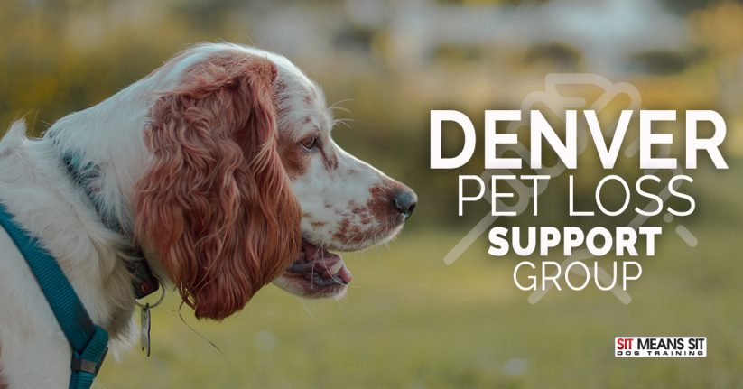 Denver Pet Loss Support Group