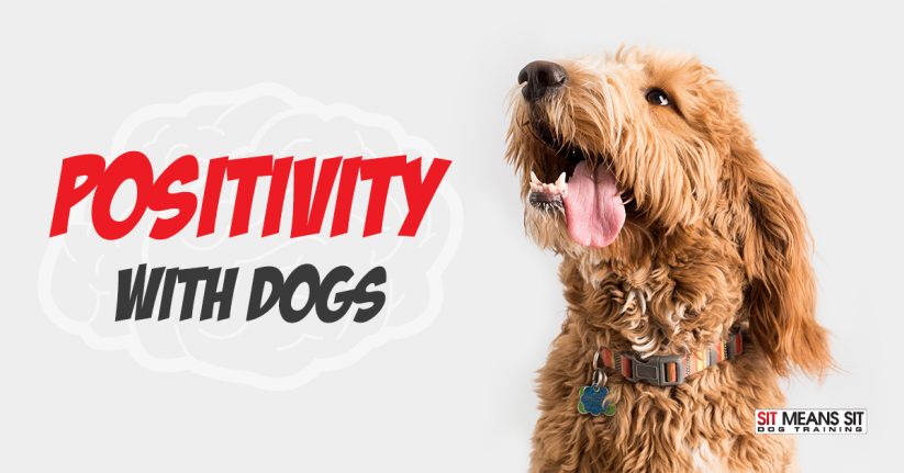 The Importance of Positivity to Dogs