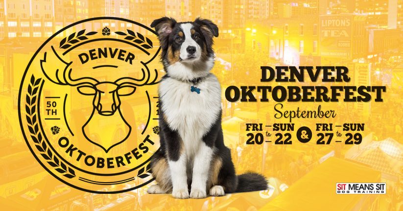 Dog-Friendly Octoberfest in Denver