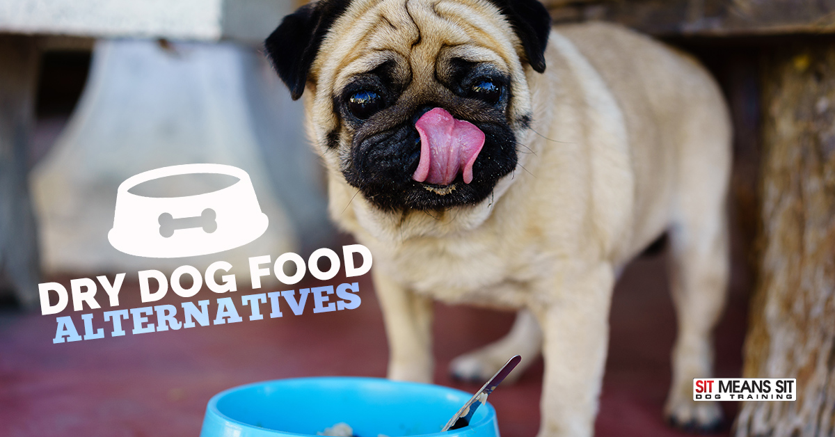 Dry Dog Food Alternatives