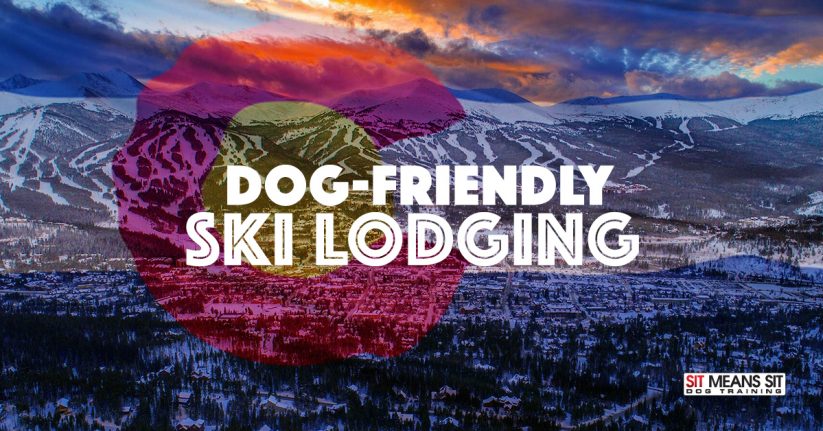Colorado Dog Friendly Ski Lodging