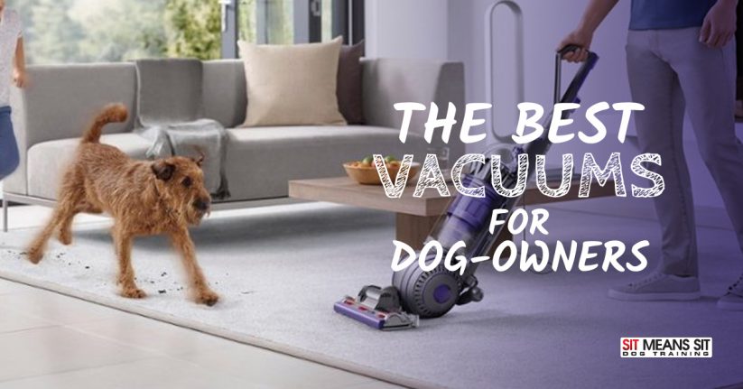 The Best Vacuums for Dog Owners