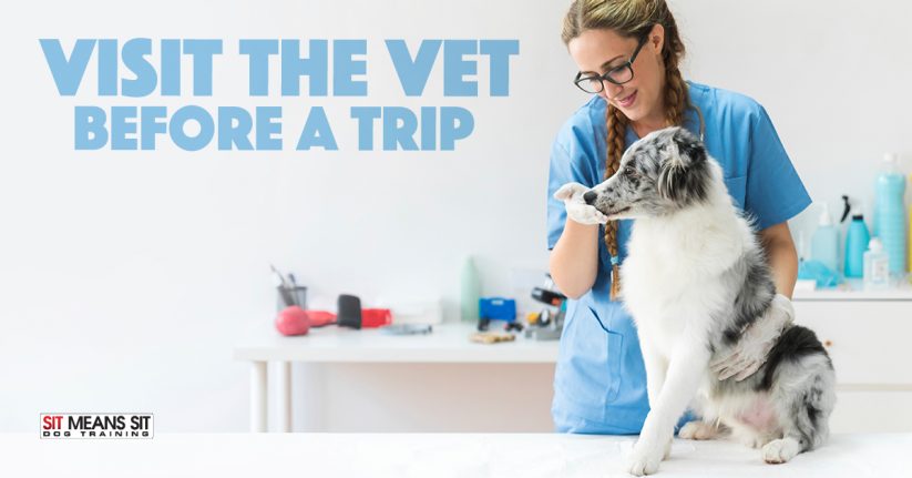 Why You Should Visit the Vet Before a Trip