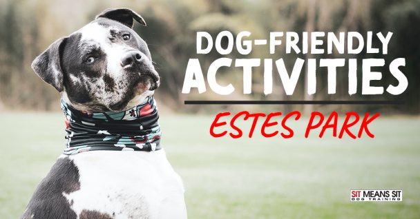 https://sitmeanssit.com/dog-training-mu/south-denver-dog-training/files/2020/06/dog-friendly-activities-estes-park-608x318.jpg