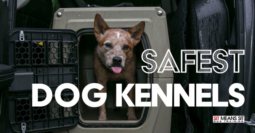2020's Safest Dog Kennels
