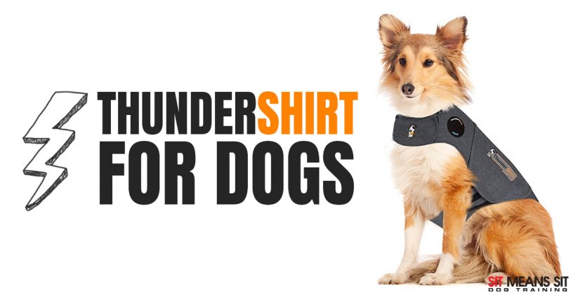 ThunderShirt For Dogs