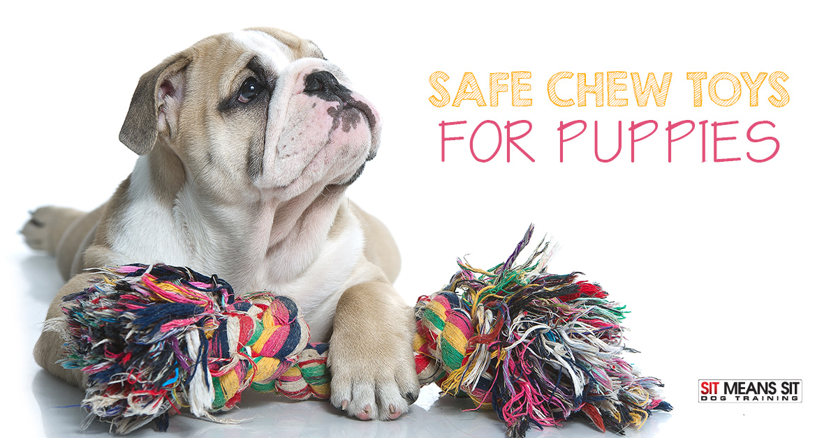 safe toys for puppies