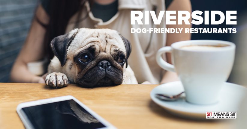Riverside Dog-Friendly Restaurants
