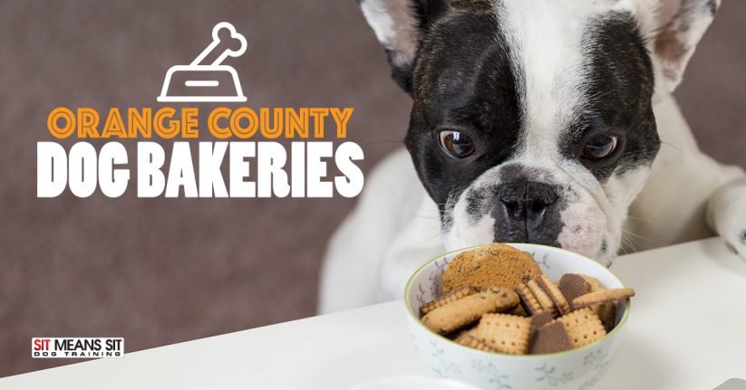Orange County Dog Bakeries